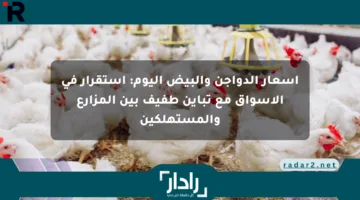 أسعار الدواجن والبيض اليوم: استقرار في الأسواق مع تباين طفيف بين المزارع والمستهلكين